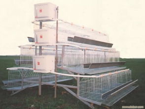 郑州养鸡设备厂
